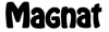 Magnat